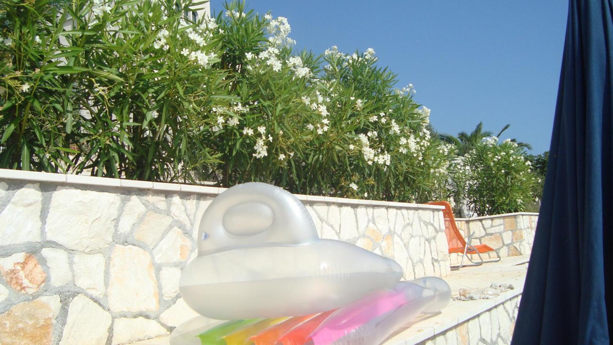 Apartments Niana With Heated Seawater Swimingpool Donji Okrug  المظهر الخارجي الصورة